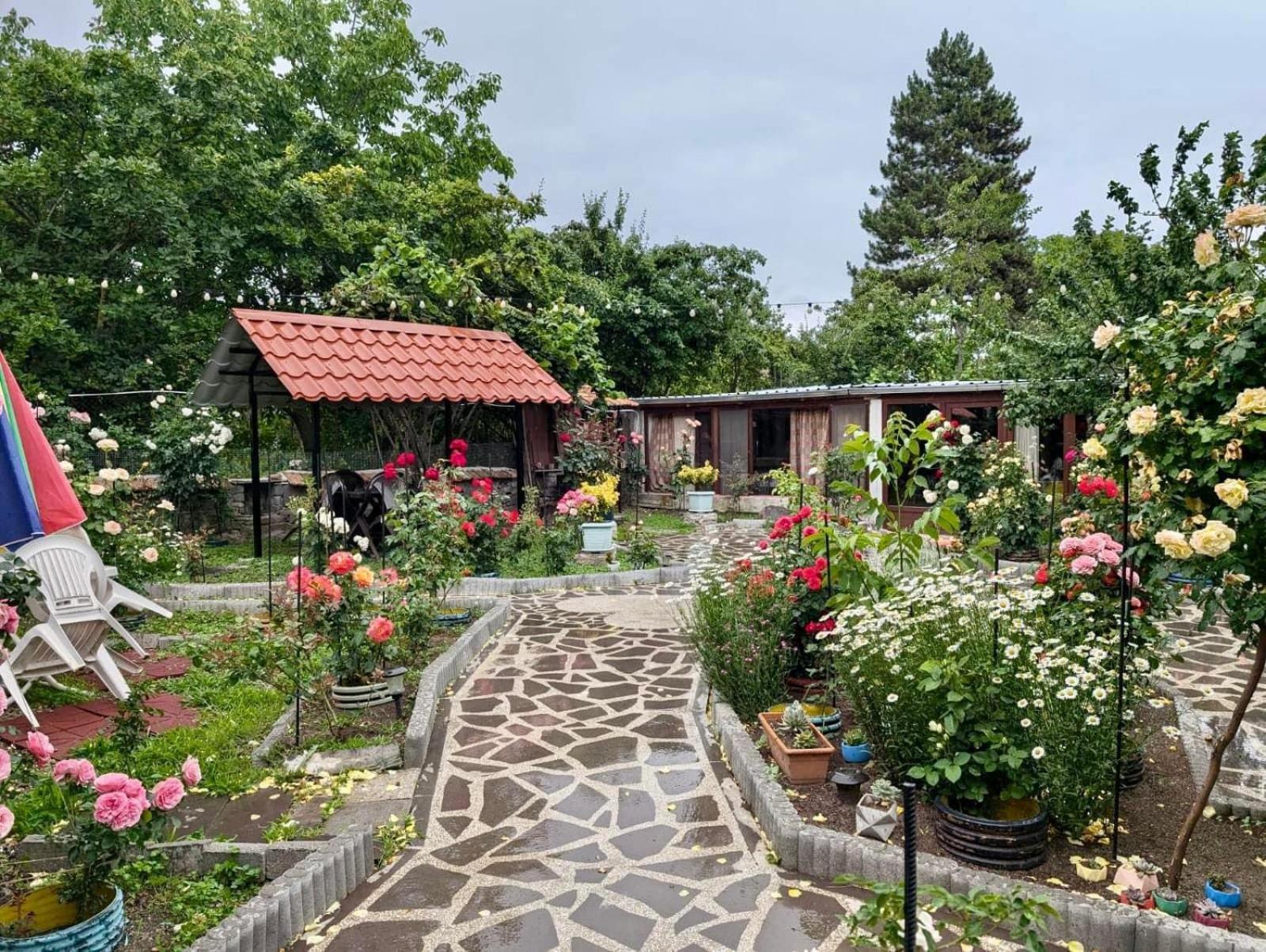 Artist'S House 호텔 Tetritskaro 외부 사진